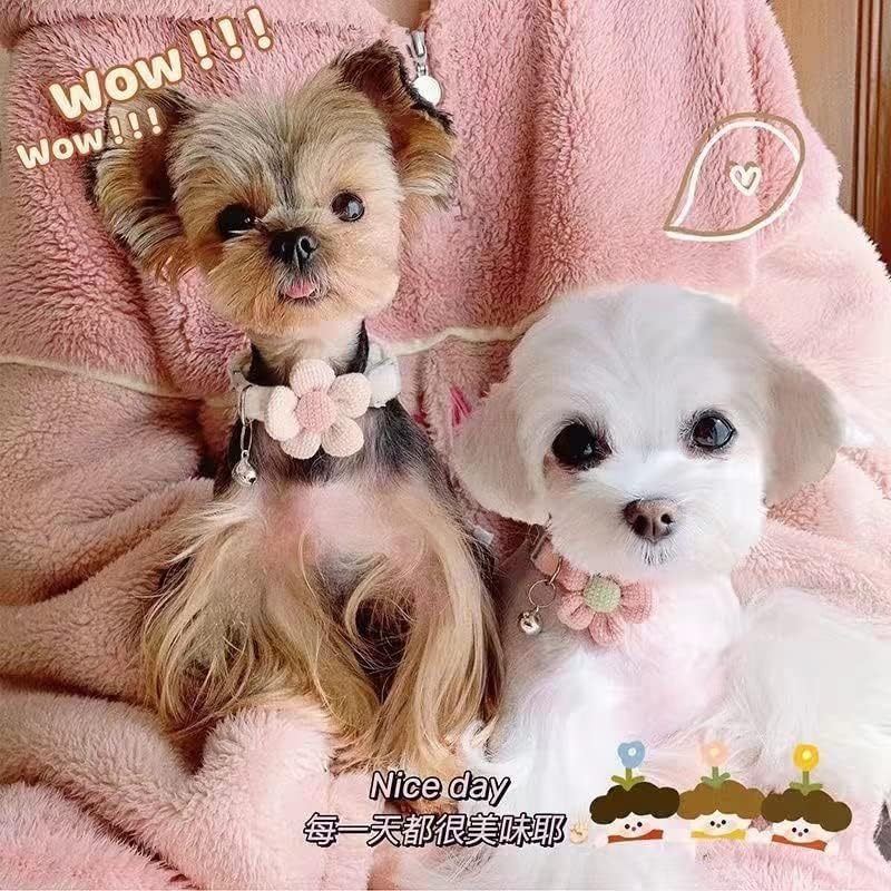Floral Dog Collar with Bell for Small Dogs