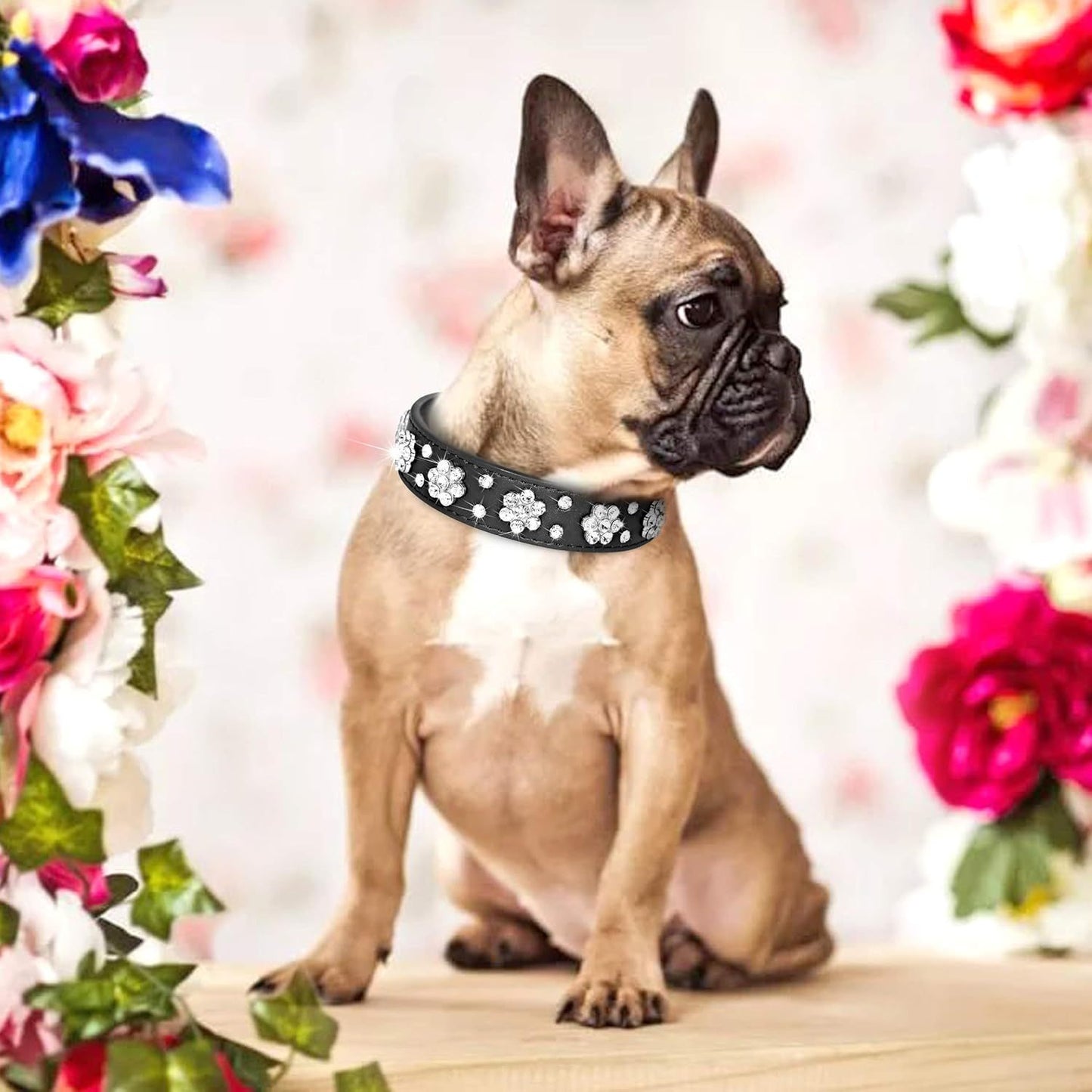 Ondaum Cute PU Leather Dog Collar - Rhinestone Flower Pattern Studded Collar for Small and Medium Dogs