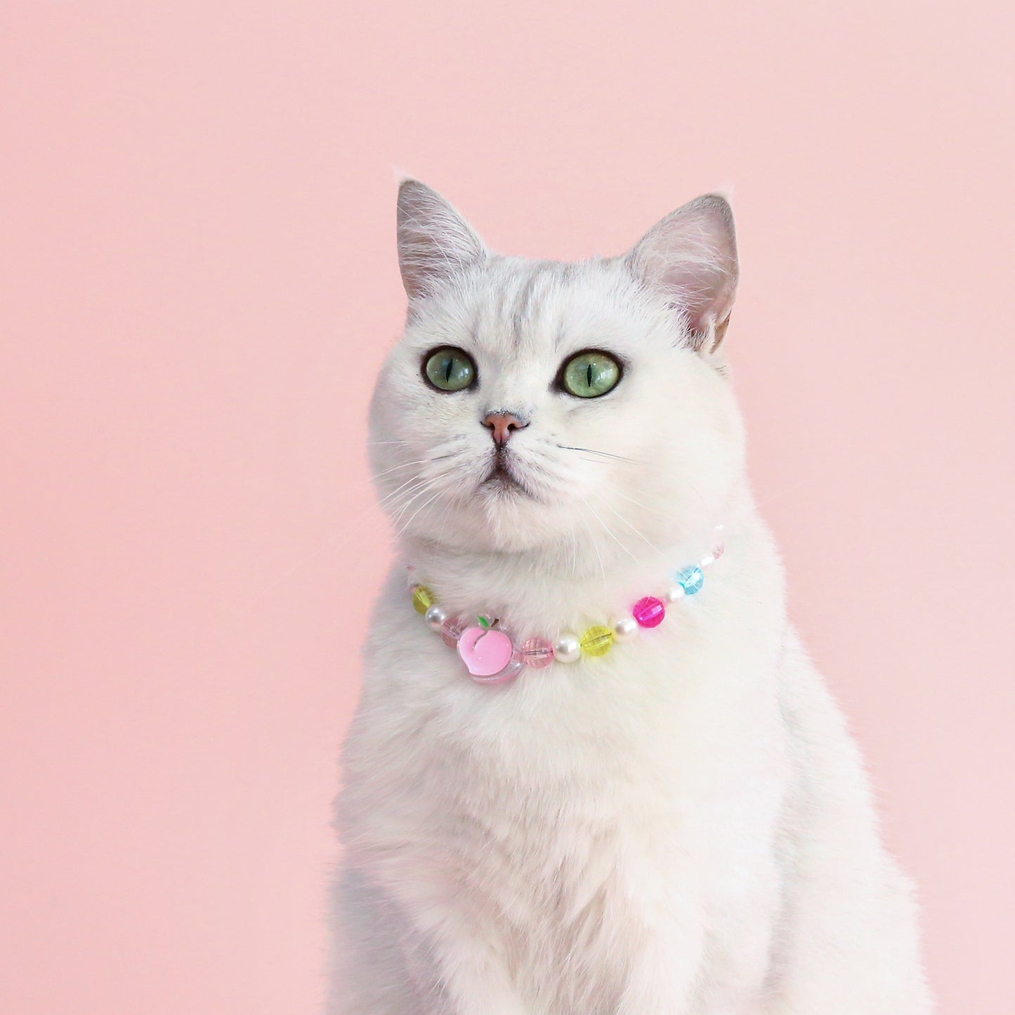INS South Korea Colorful Pearl Pet Necklace Small Flower Rainbow Peach